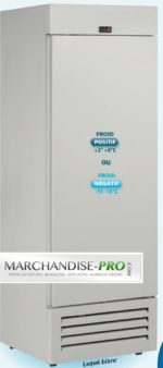 Armoire réfrigérée 600L positif