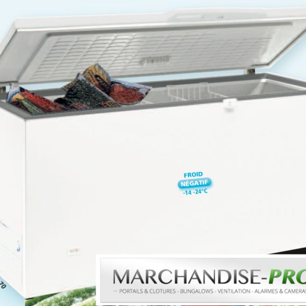 Congélateur conservateur blanc 690L
