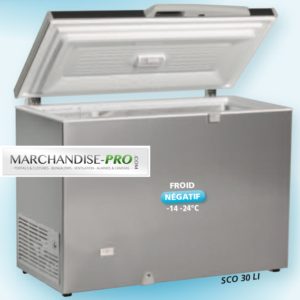 Congélateur conservateur 300L Inox