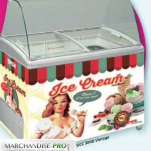 Vitrine conservateur à crèmes glacées Vintage