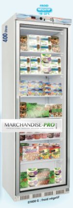 Armoire réfrigérée vitrée 600L