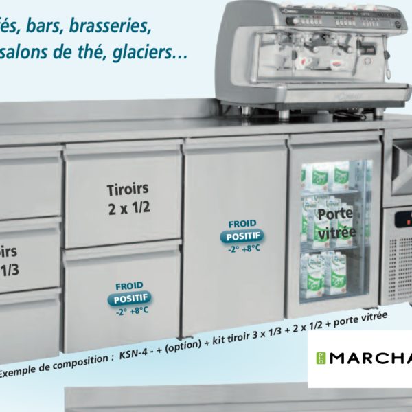 Arrière bar mural réfrigérée 2 portes